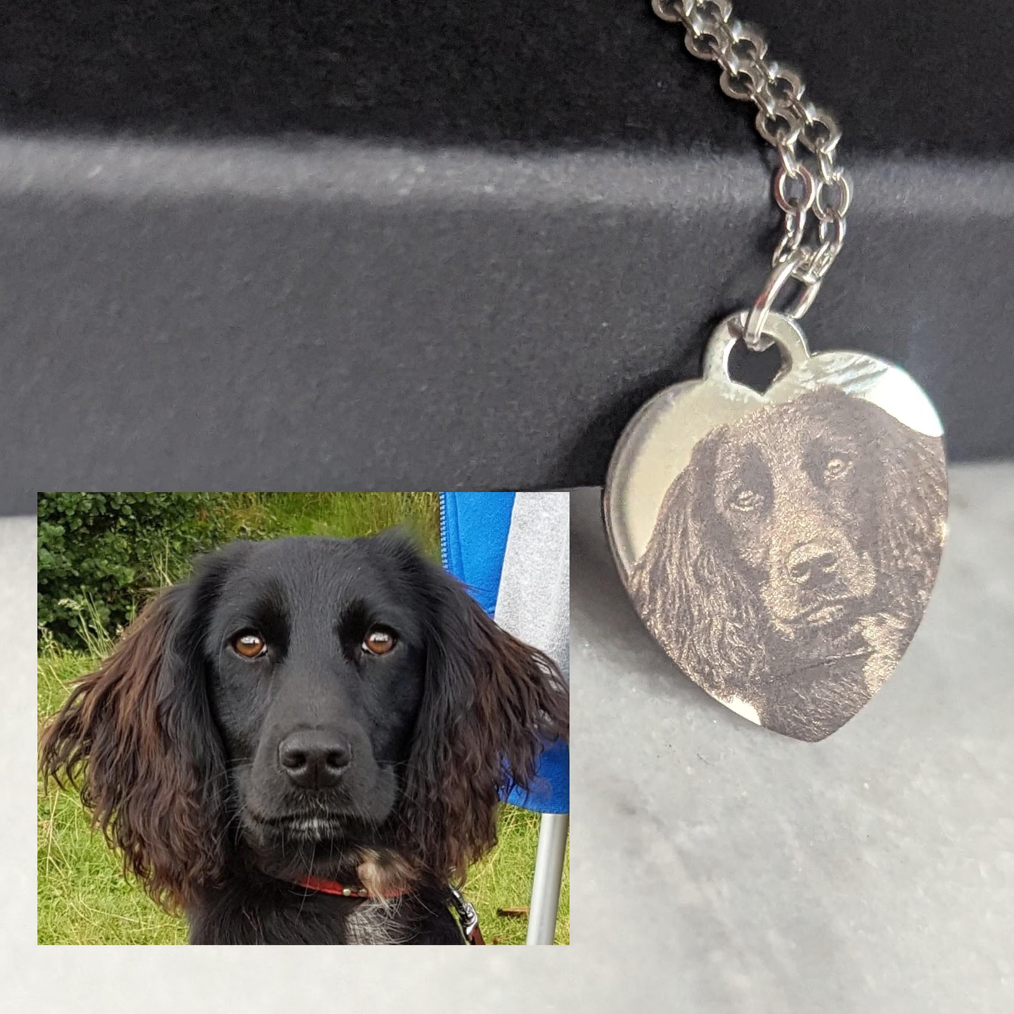Dog with a heart-shaped pendant engraved with its portrait