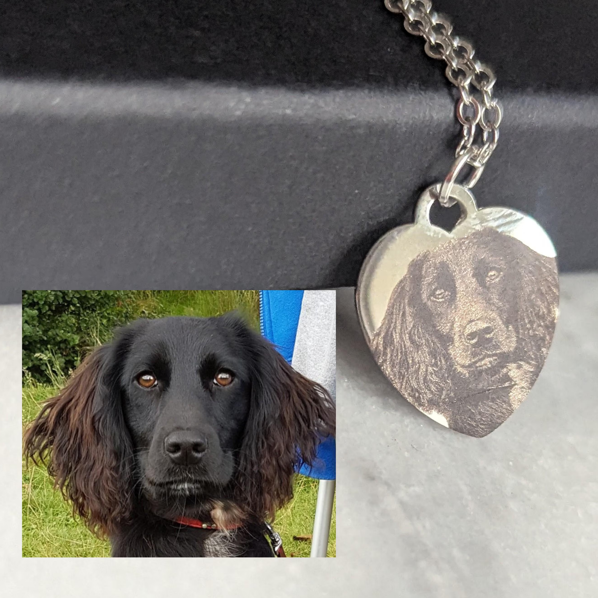 Dog with a heart-shaped pendant engraved with its portrait