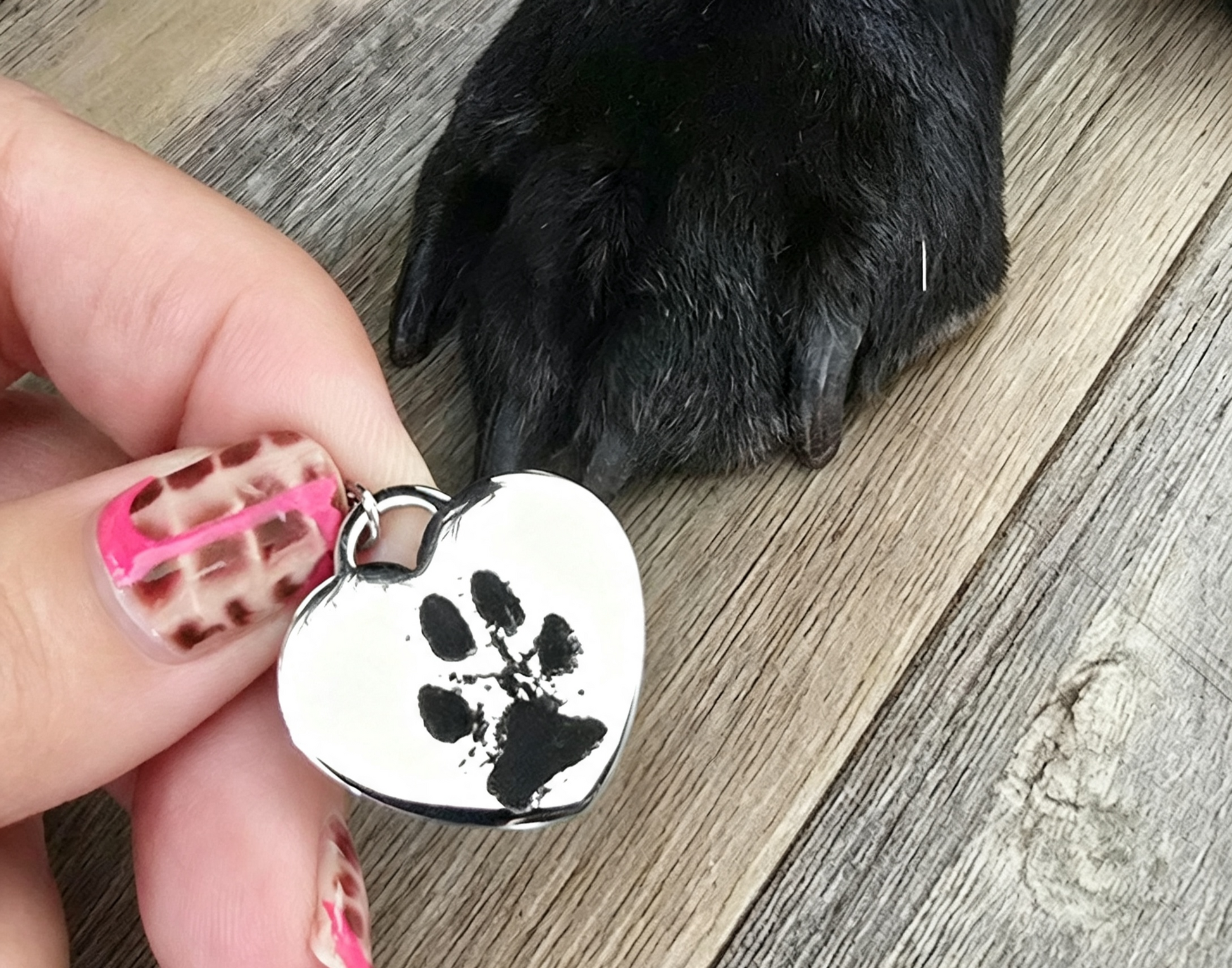 A close-up of a hand holding a silver heart-shaped pet tag with a black paw print, next to a black dog's paw on a wooden floor.