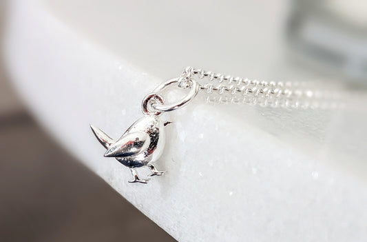 Amazon.com: Parrot Necklaces for Women,925 Sterling Silver Cute Heart  Parrot Pendant Necklaces with 